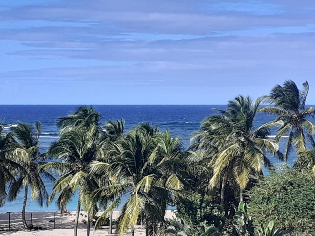 Studio Vue Sur Mer Le Moule Kültér fotó